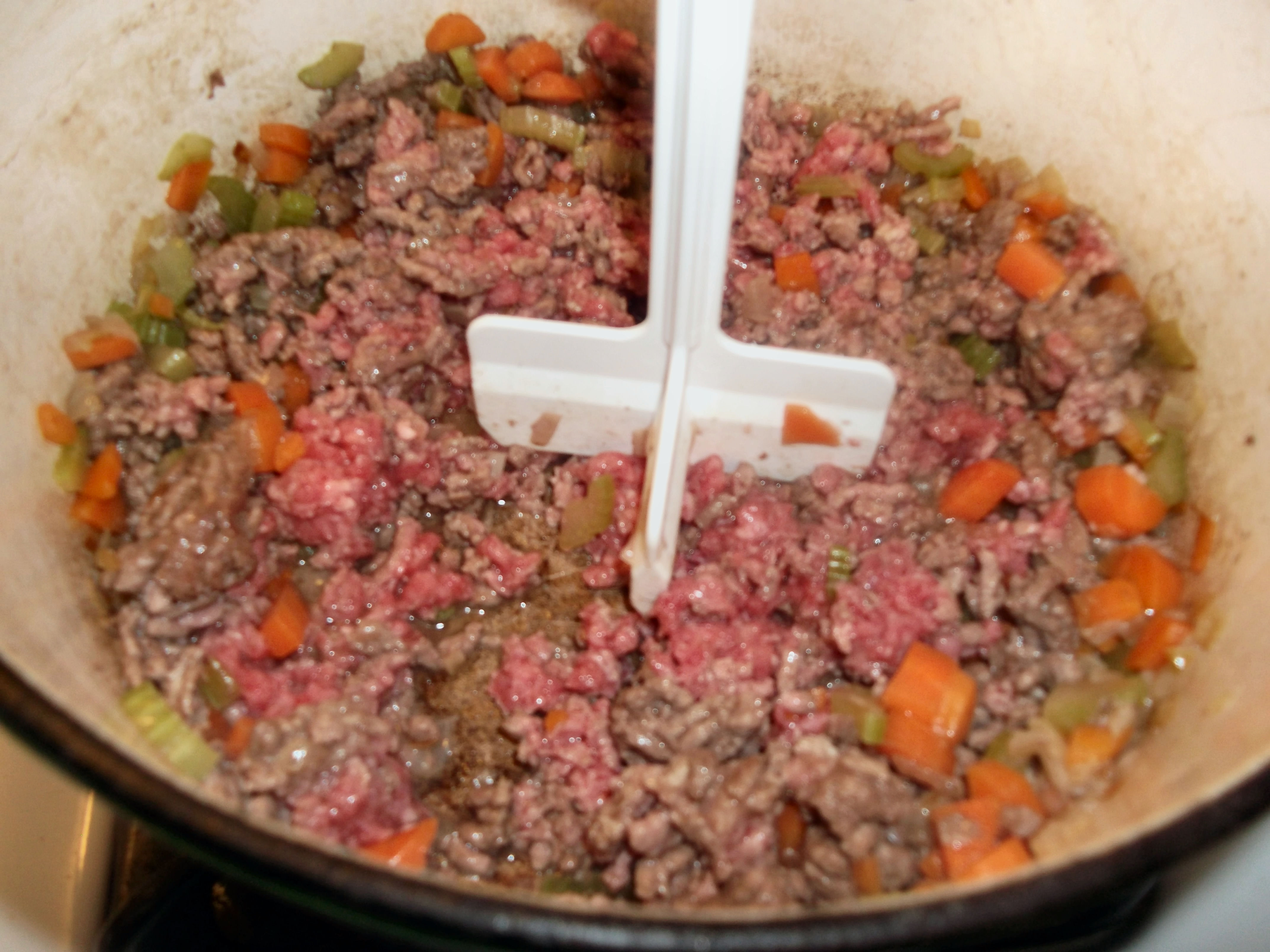 Bolognese Style Meat Sauce – Diane's Food Blog