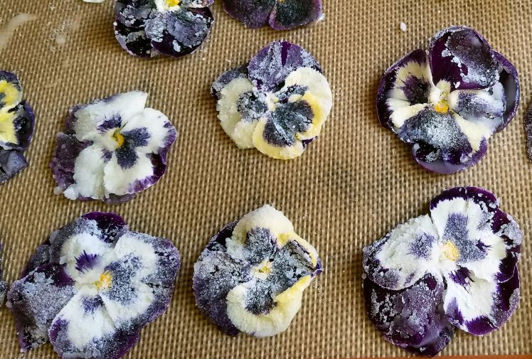 Edible, Candied Flowers - Spatula Queens